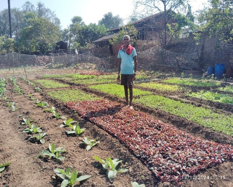 Suklal Mara Kunjami’s Agricultural Practices
